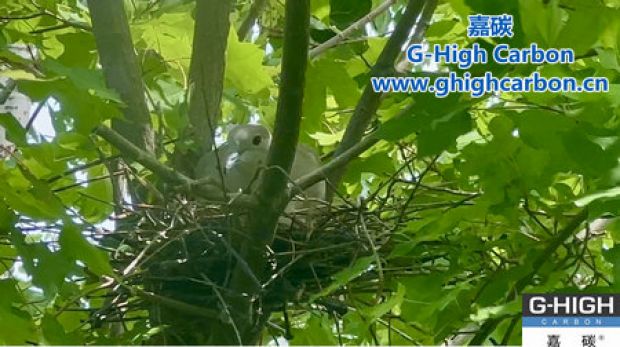 “碳”尋未來(lái)，綠色發(fā)展