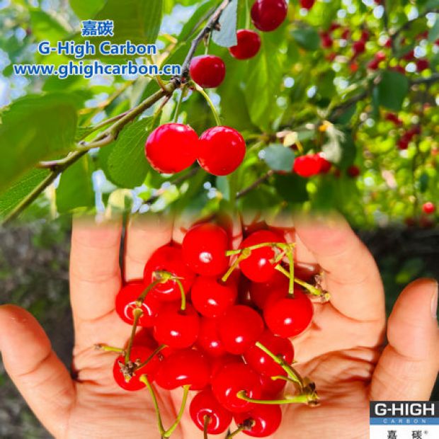 生態(tài)“嘉”園，“桃”醉其中