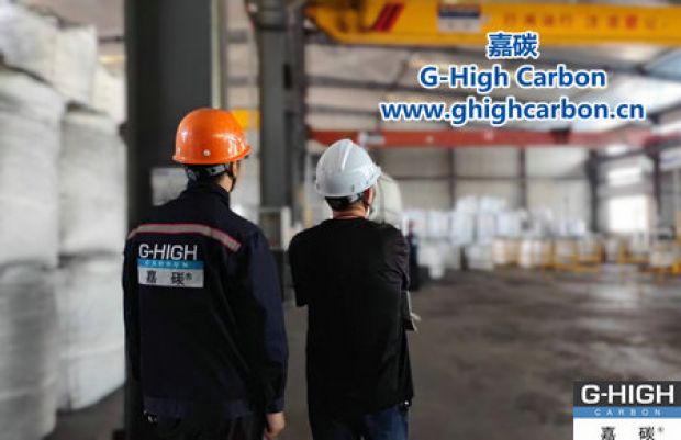 電力安全領域?qū)＜矣H臨指導